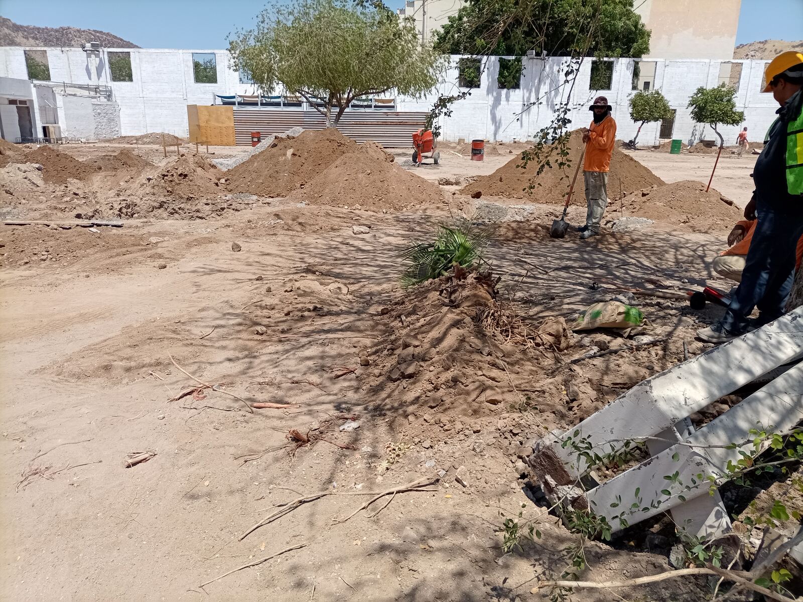 Excavación en área de visita